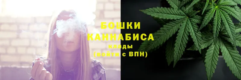 Каннабис SATIVA & INDICA  Кострома 